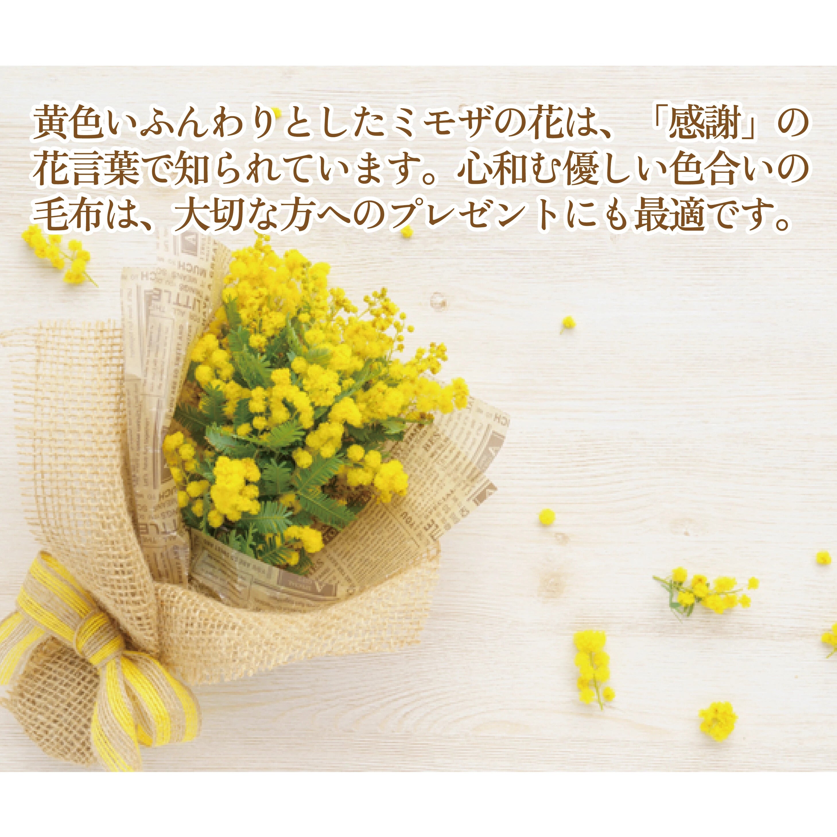 二重毛布 ミモザ